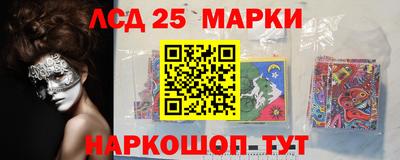 2c-b Гатчина
