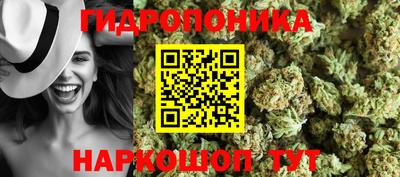 экстази Гай
