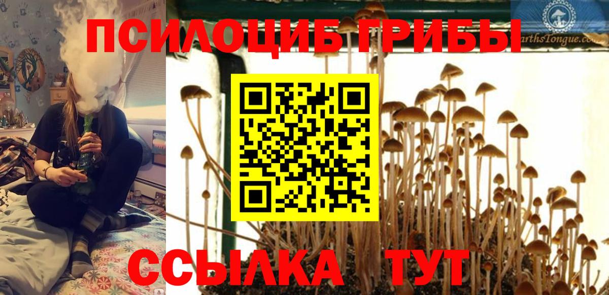 Псилоцибиновые грибы мухоморы Нарткала