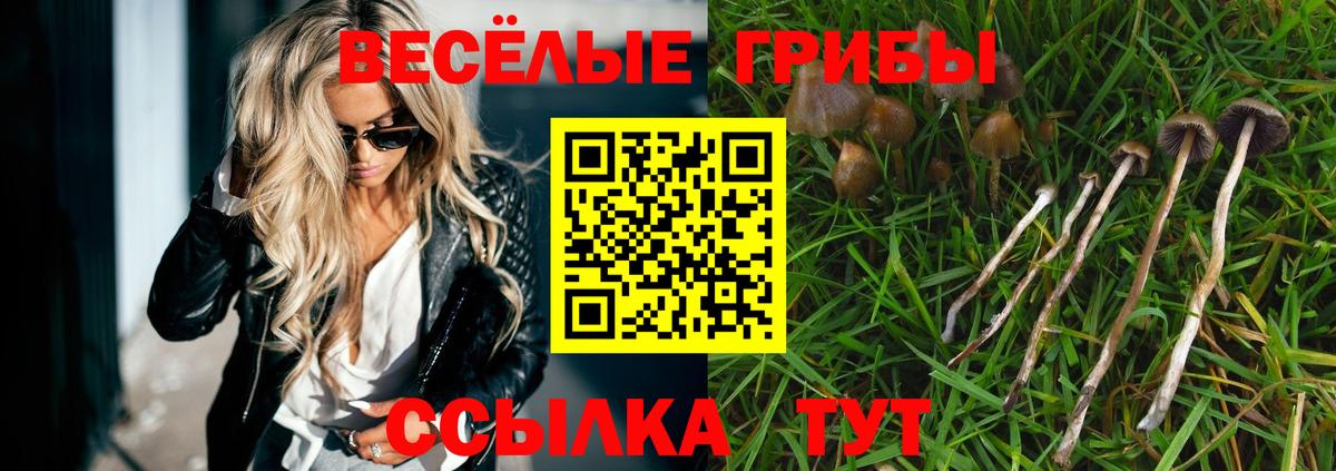 Нарткала  Галлюциногенные грибы прущие грибы  где продают наркотики  Вход с VPN 